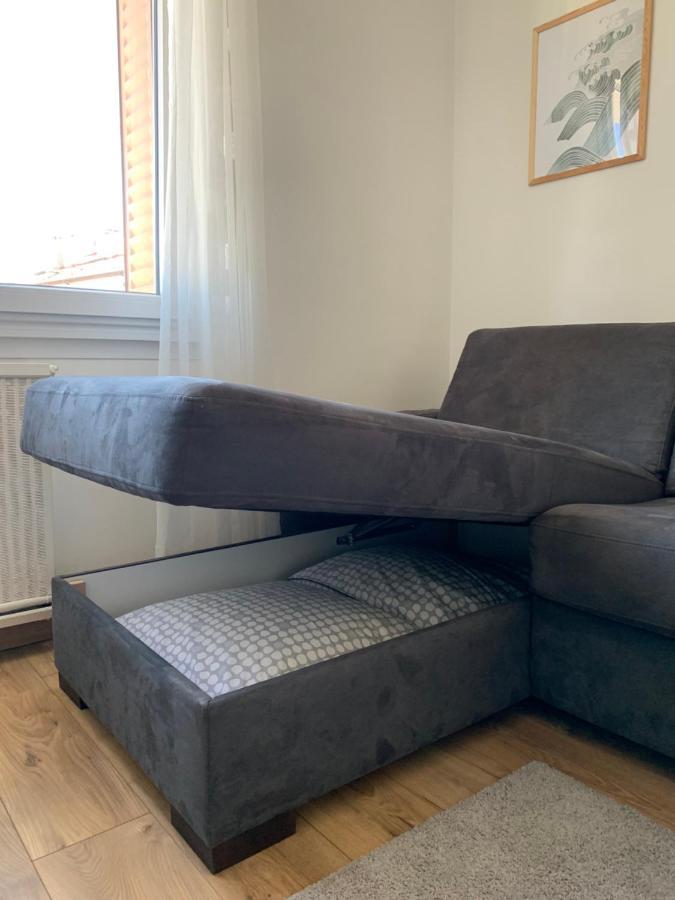 Appartement Cosy Proche Du Centre Annecy Luaran gambar